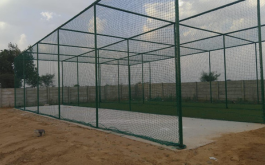 Cricket Turf